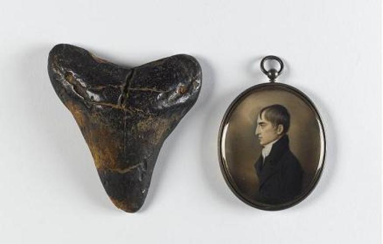 Trove: Dorothy Cross chooses from the National Collections