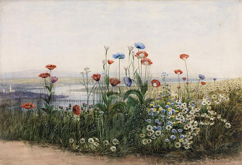 Watercolour of a bank of flowers including poppies with a view of Londonderry in the distance