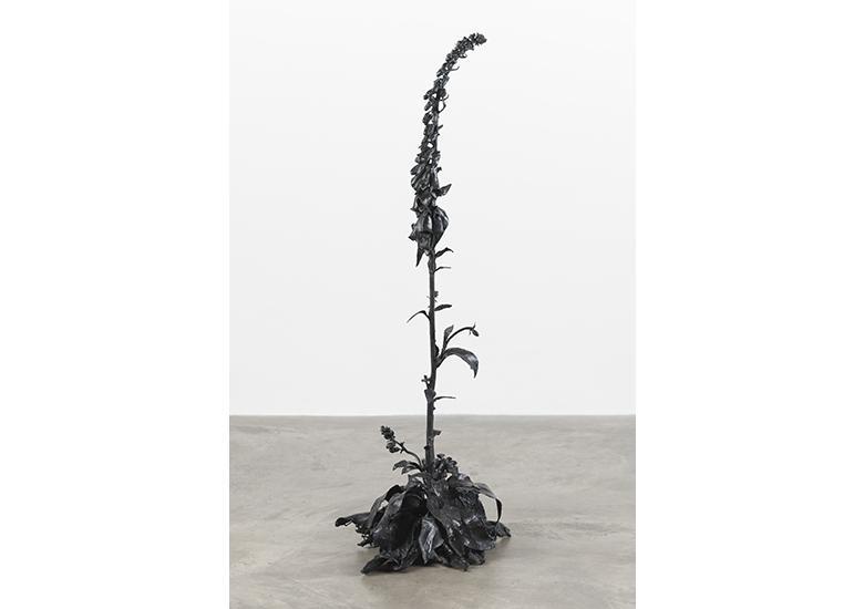 A photograph of a bronze sculpture of a foxglove plant, standing on a concrete floor against a white wall.