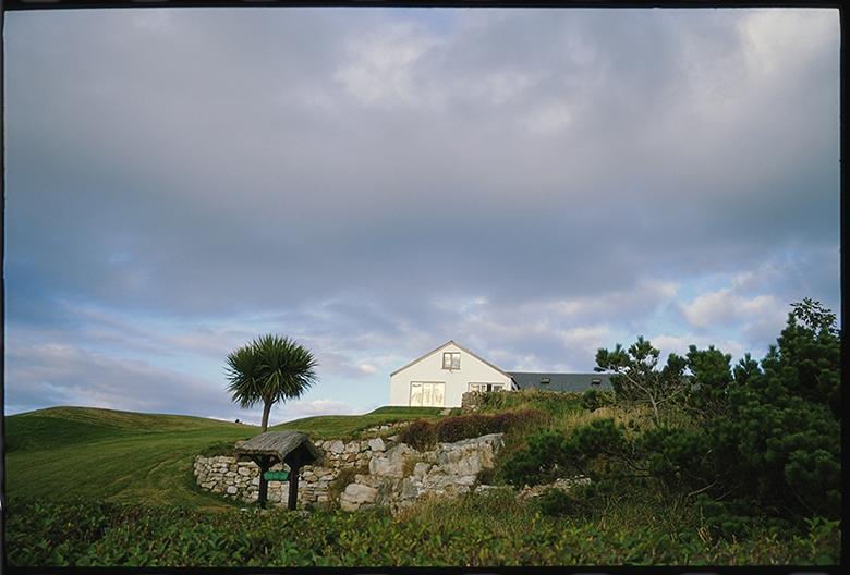 Colour photograph of a grassy garden with a dry stone terrace at centre and a yucca tree and gable end of a white house silhouetted against a pale cloudy sky.