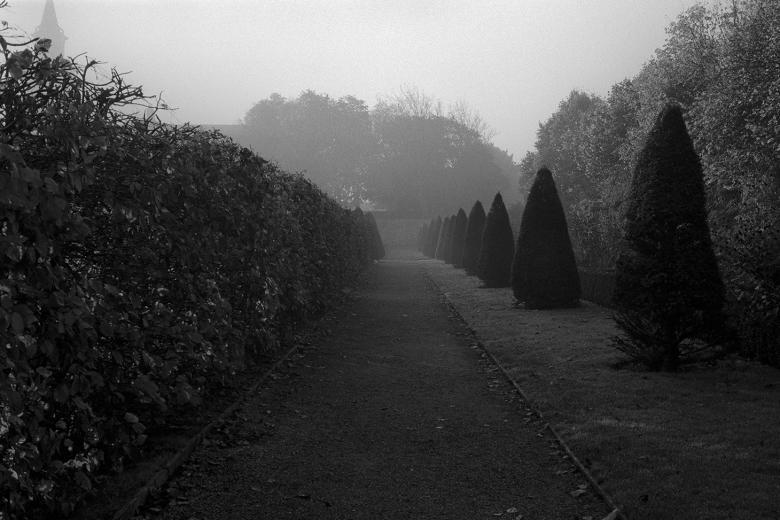 Atmospheric black and white photo of a misty formal garden with well-maintained hedges and shrubs