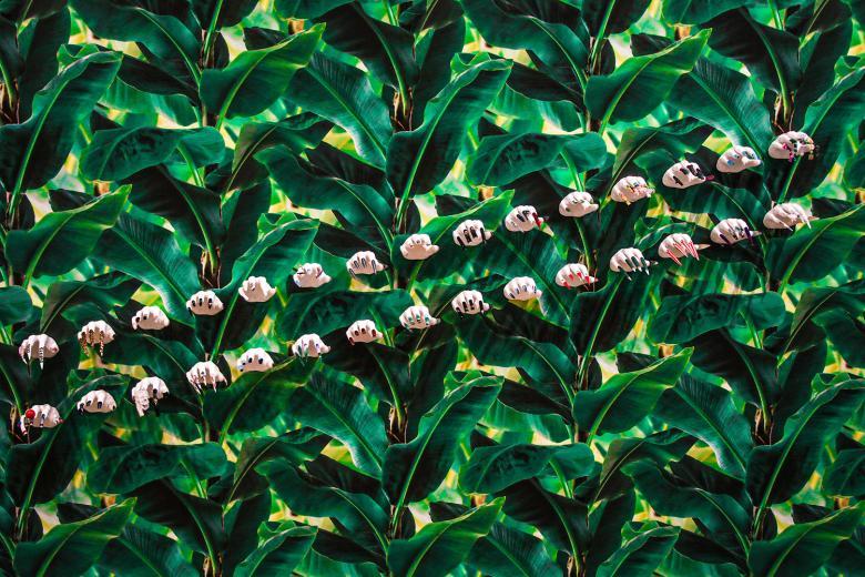 Installation photograph of exhibition of 3D plaster hands with nail art displayed on tropical plant patterned wallpaper