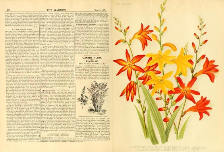 Pages from The Garden