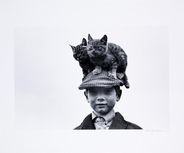 A black and white photograph of a young boy. On his head is a cap, on top of which are perched two kittens.