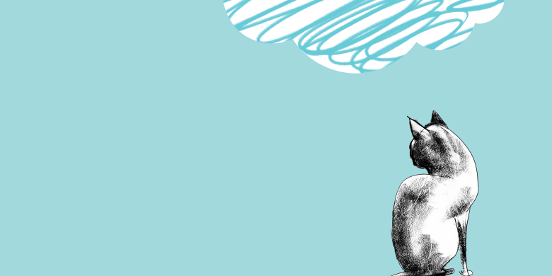 A blue rectangle with a drawing of a cat on the right-hand side 