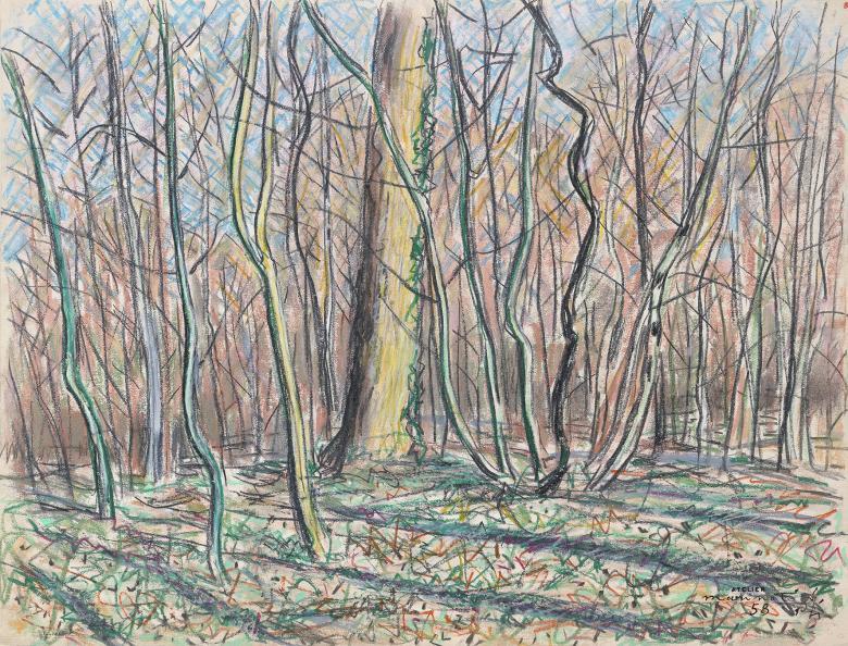 A drawing in colour pencil of a wooded area - the branches are bare 