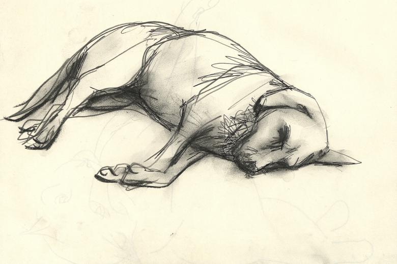 Charcoal sketch of a dog lying on the ground asleep