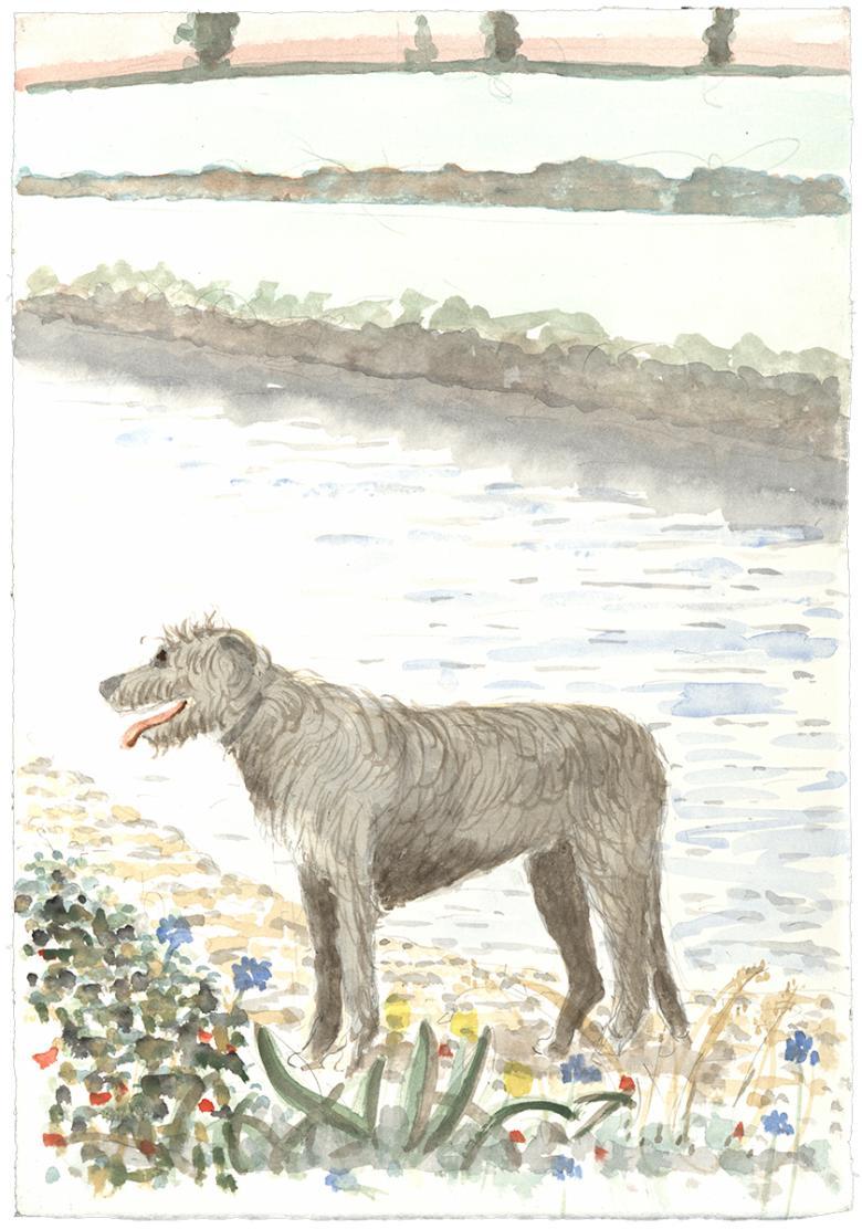Watercolour of an Irish Wolfhound standing on the banks of a river
