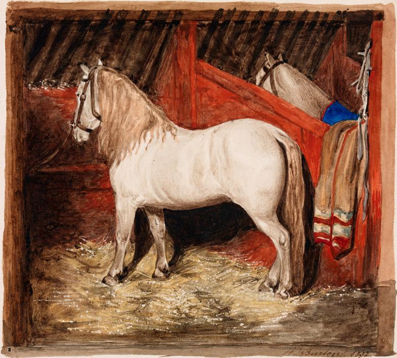 Watercolour painting of a white horse standing in a red stables