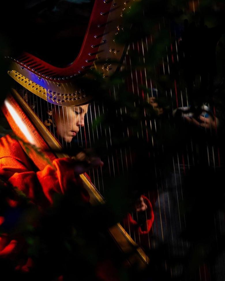 A woman plays the harp, her face visible through the strings.