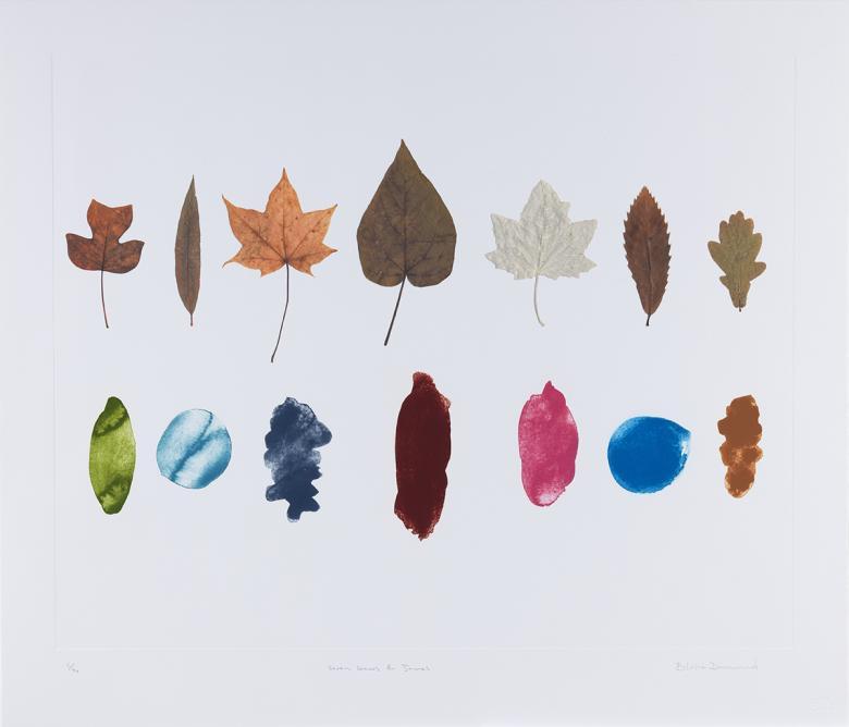 A colour etching depicting two rows of seven leaves