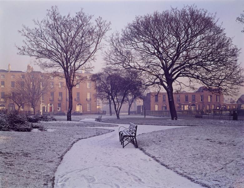 A snowy scene of an urban square. In the middle of the photograph is a park bench on a winding path. Behind, bare trees and tall red brick buildings.