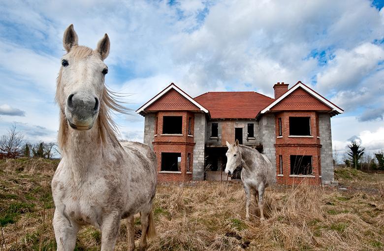 Kim Haughton's photo of horses in a ghost estate