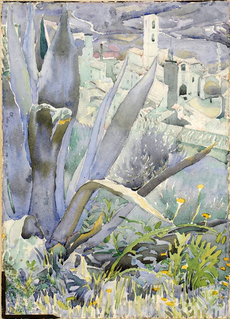 Watercolour of aloe plants