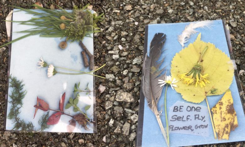 Photo of children's field explorer notebooks