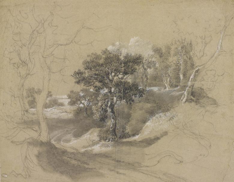 A drawing of a landscape with the more finished and detailed tree at centre and sketchy trees and landscape surrounding it.