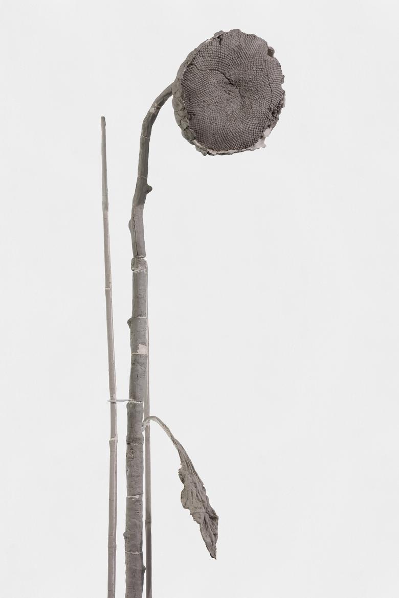 Grey sculpture of a dying sunflower with a spindly stem and large petal-less flower head