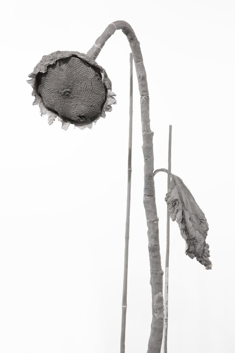 Grey sculpture of a dying sunflower with a spindly stem and large drooping flower head