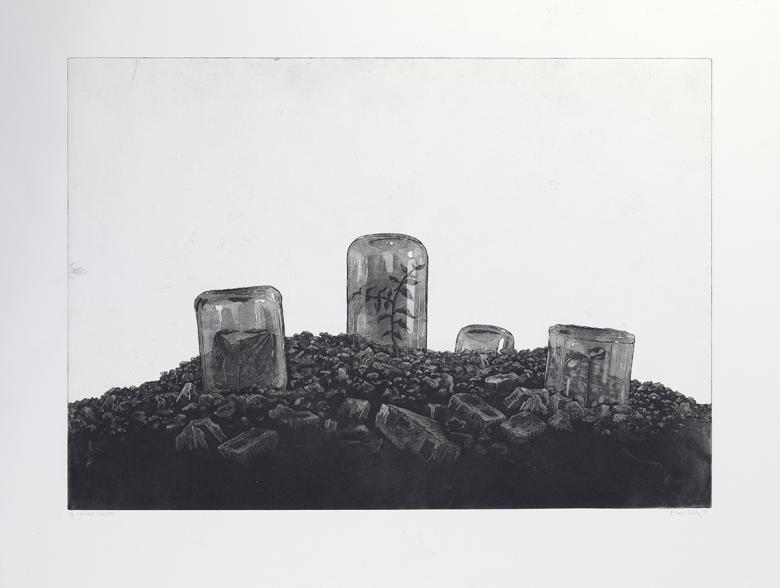 Monochrome etching of four tiny plants growing in a mound of dirt, each covered with an upturned glass jar.