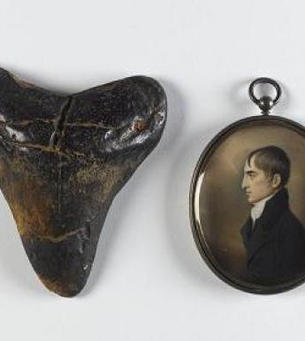 Trove: Dorothy Cross chooses from the National Collections