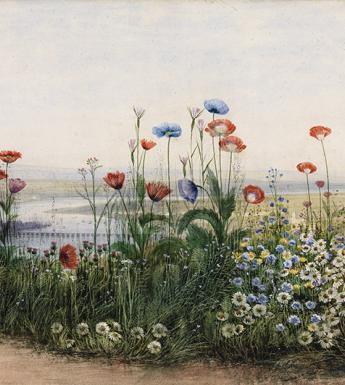 Watercolour of a bank of flowers including poppies with a view of Londonderry in the distance