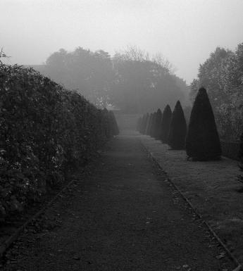 Atmospheric black and white photo of a misty formal garden with well-maintained hedges and shrubs