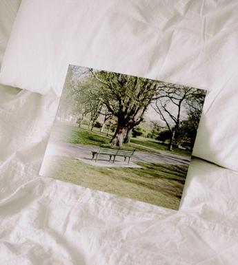 Photograph of a photograph lying on an unmade bed with white sheets. The photo is of a man sitting on a park bench.