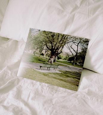 Photograph of a photograph lying on an unmade bed with white sheets. The photo is of a man sitting on a park bench.