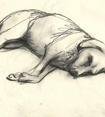 Charcoal sketch of a dog lying on the ground asleep
