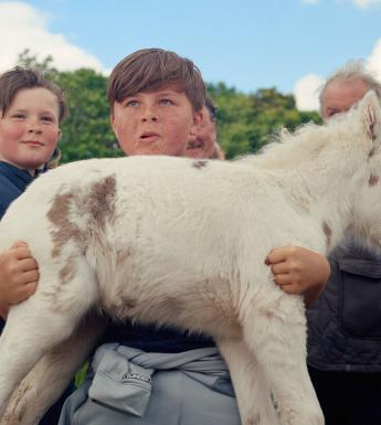 A photograph of a young boy holding a very small horse.