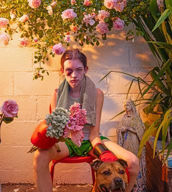 A male figure sits in a garden surrounded by rose plants. He has a black eye, is wearing boxing gloves and holding flowers and holds the lead of a dog.
