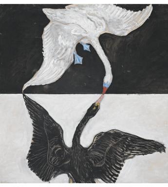 Painting of a white swan on a black background, and a black swan on a white background. The swans beaks are touching.