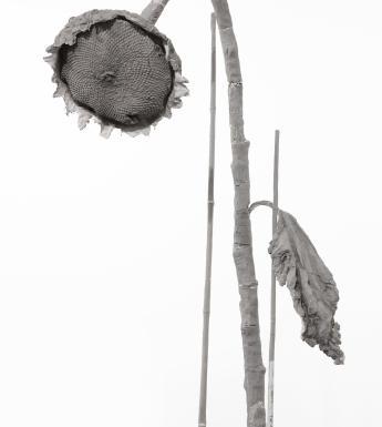 Grey sculpture of a dying sunflower with a spindly stem and large drooping flower head