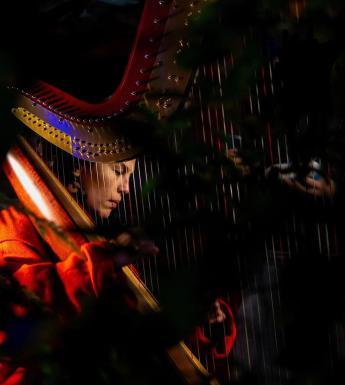 A woman plays the harp, her face visible through the strings.