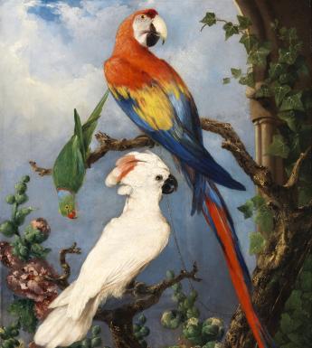 Painting of birds