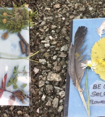 Photo of children's field explorer notebooks