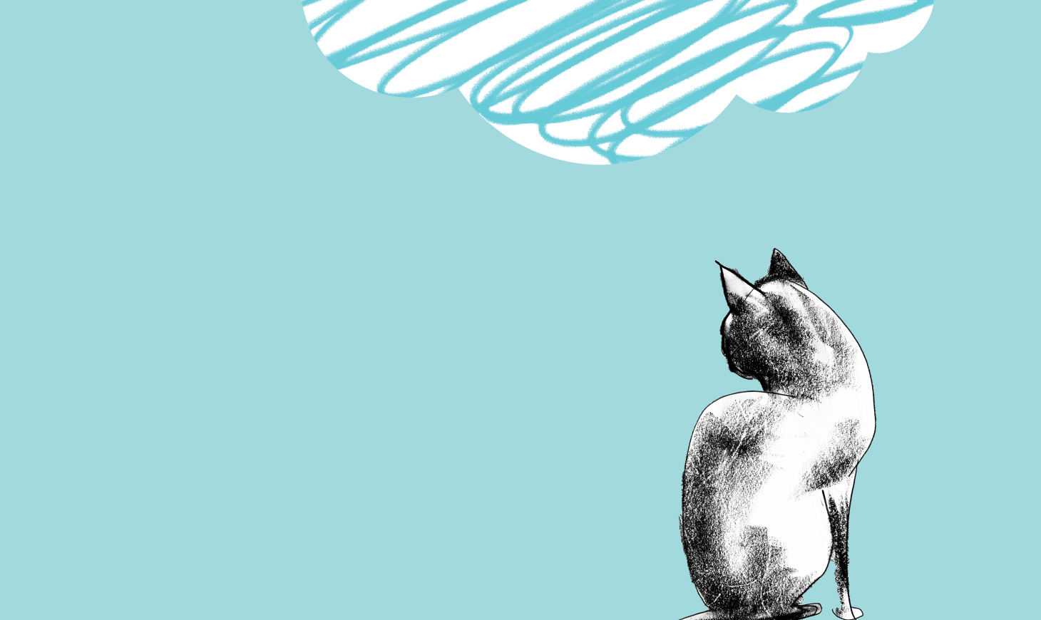 A blue rectangle with a drawing of a cat on the right-hand side 