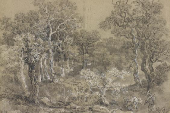 Black and white chalk drawing of trees by Thomas Gainsborough