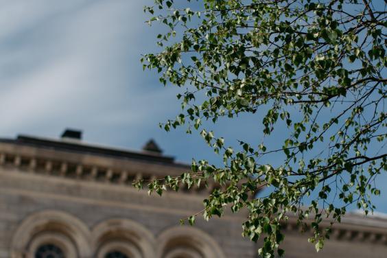 A view of the Merrion Square entrance through leaves. © National Gallery of Ireland. 