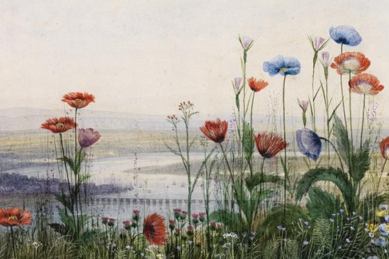 Detail of flowers in Andrew Nicholl's landscape with flowers and Londonderry