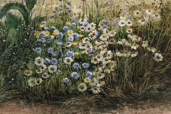 Detail of flowers in Andrew Nicholl's landscape with flowers and Londonderry
