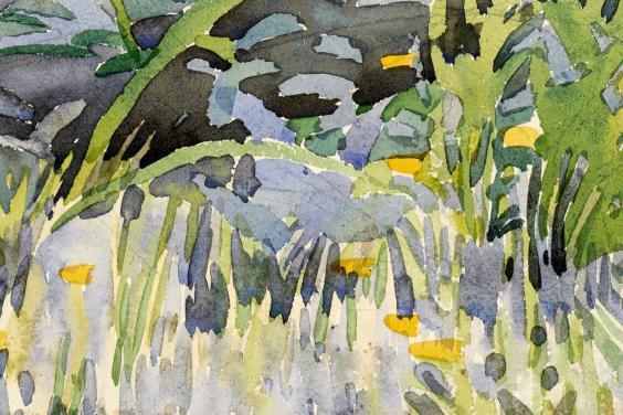 Watercolour by Leech