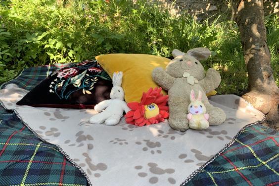Photo of soft toys on a picnic rug outdoors