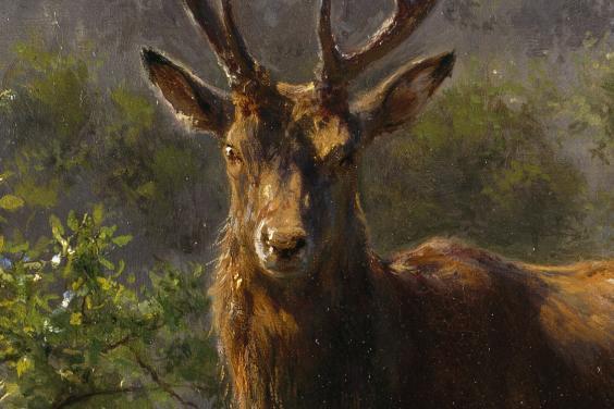 Painting of a stag