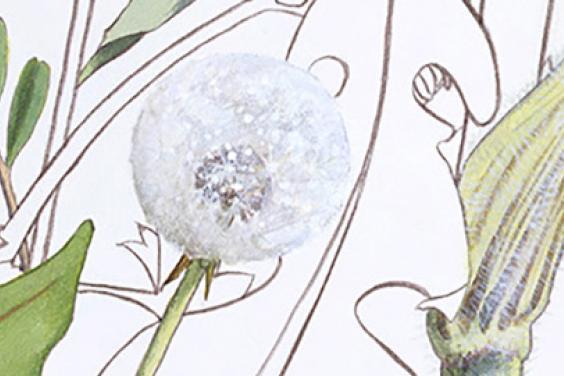 Detail of Yanny Petters' painting showing a dandelion clock