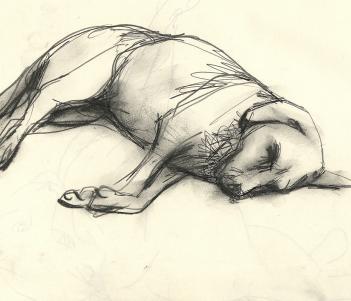 Charcoal sketch of a dog lying on the ground asleep