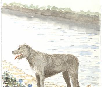 Watercolour of an Irish Wolfhound standing on the banks of a river