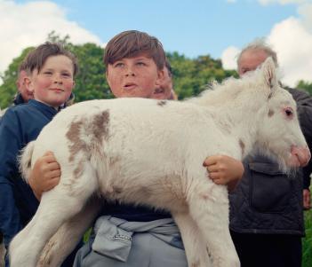 A photograph of a young boy holding a very small horse.
