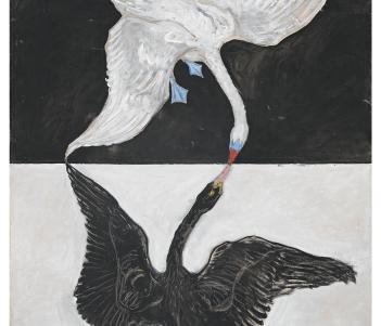Painting of a white swan on a black background, and a black swan on a white background. The swans beaks are touching.