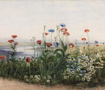 Watercolour of a bank of flowers including poppies with a view of Londonderry in the distance